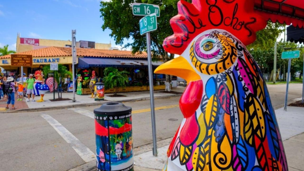 The Marlin Rooster Apartments Miami Eksteriør billede